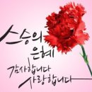 스승의 날 주일예배 대표기도문 10가지 모음 이미지