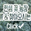 한샘농장 이미지