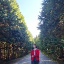 유민목장 이미지