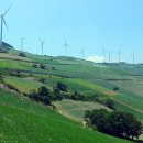 태백시농업기술센터 이미지