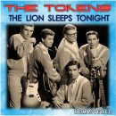 The Lion Sleeps Tonight (The Tokens) 이미지