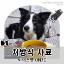 에스비 소프트 | 와이즈벳사료 ON/C 노령견 면역력 동물병원 소프트 처방식 강아지사료
