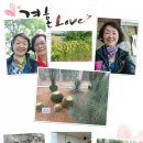 SNS편집 이미지