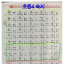 악필교정바른글쓰기 이미지