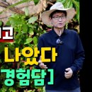 '이것' 뿌리고 3일 만에 나았다 무릎통증 경험담 이미지