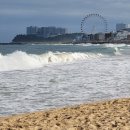 청호동 신수로 이미지