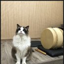라온국악학원 이미지