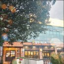 탐라는파스타호텔더 | [제주] 더본 제주 호텔 제공 쿠폰 사용하는 탐라는 파스타 솔직 후기