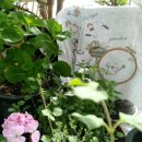 프랑스 자수 이미지