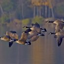 장미무도장 이미지