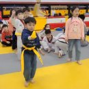 태권베스트 태권도장 이미지