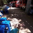 봉식농장 | 2018 김천 자두포도축제 다녀왔어요^^