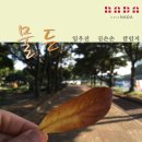 네스트주 이미지