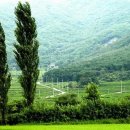 젊은날의수채화 이미지