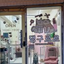 통영굴구이포차 | 화곡역 맛집 통영굴구이 에서 굴구이, 굴찜 먹고온 후기(메뉴, 위치, 가격)