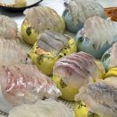 윌횟집 | 강릉 내돈내산 맛집, 윌횟집에서 스페셜 활어회 대자