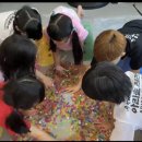 용인대 아리솔 태권도장 이미지