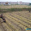 영천소방서(신녕119안전센터)