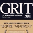 그릿(Grit) 이미지