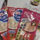 금빛동물병원 | 고양이림포마(림프종) 이겨내기