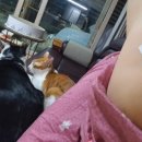 다나아 한의원 이미지