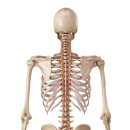 달천한의원 이미지