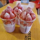 요거프레소 중앙대점