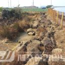 무릉2리(평지동) 이미지