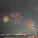 포항 국제 불빛 축제 이미지