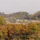 모심-2019 이미지