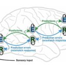 베이스피티 이미지