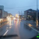 비즈아쿠아수족관 이미지