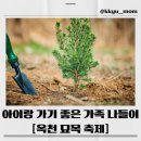 신비마을명품세탁소 | 2026 옥천묘목축제 총정리🌱무료 묘목 받는 법 + 일정+ 주차꿀팁