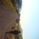 한성농원 이미지