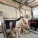 동탄우리유치원 이미지