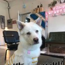 카페더메이커스
