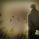 겸손(謙遜)한 사람은 참 아름답다 이미지