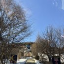 하인즈타프 | 별이 쏟아지는 “달빛정원글램핑&카라반” 숙소후기 (유명산근처, 대중교통 이용 가능 가평숙소, 산양...