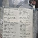 예유당 | 아토피 유당불내증도 안심!빛쌀 쌀누룩 비건 요거트로 가벼워지는 하루