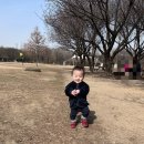 꽃사슴슈퍼 | 서울숲 다녀온 후기(토끼, 꽃사슴방사장)