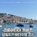 스플리트에서 흐바르 당일치기 페리 투어 비교 | 바다수영 코스 추천