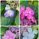 이반성면-6 이미지