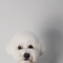 파리바게뜨수원탑동 이미지