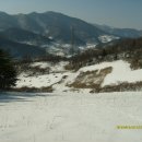 어상천우체국 Daum카페