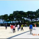 구룡초등학교 Daum카페
