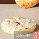 스프레드 이미지