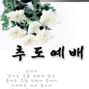 추도