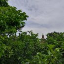 반월공원 이미지