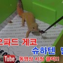 발디가그룹