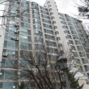 마음편한동물약국 이미지